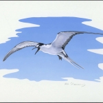 2007, Pitcairn, (717) Original