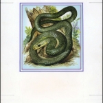 1993, Moldawien, (50) Original