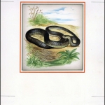 1993, Moldawien, (52) Original