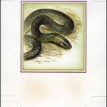 1993, Moldawien, (53) Original