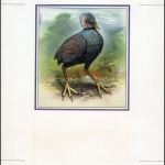 1992, Niuafoou Inseln, (233) Original