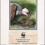 1992, Niuafoou Inseln, (235) Original