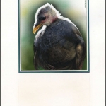 1992, Niuafoou Inseln, (236) Original