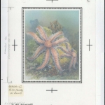 1993, Alderney, (63) Original