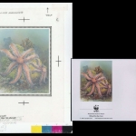 1993, Alderney, (63) Original