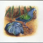 1993, Salomoninseln, (836) Original