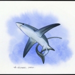 2002, Tokelau Inseln, (323) Original