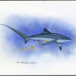 2002, Tokelau Inseln, (324) Original