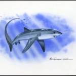 2002, Tokelau Inseln, (325) Original