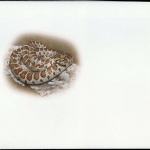 2002, Ukraine, (502) Original