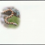 2002, Ukraine, (504) Original