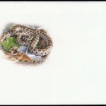2002, Ukraine, (505) Original