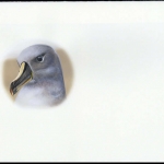 2003, Falkland Abhänige Gebiete F Süd Georgien, (359) Original