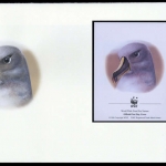 2003, Falkland Abhänige Gebiete F Süd Georgien, (359) Original