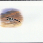 2003, Falkland Abhänige Gebiete F Süd Georgien, (360) Original
