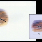 2003, Falkland Abhänige Gebiete F Süd Georgien, (360) Original
