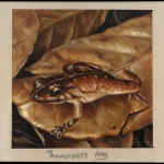 2003, Seychellen, (870) Original