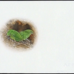 2003, Mauritius, (963) Original