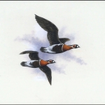 1998, Ukraine, (285) Original