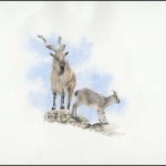 1995, Usbekistan, (61) Original