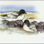 1997, Ross Gebiet, (51) Original