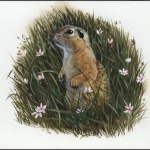 1996, Tschechische Republik, (112) Original