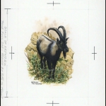 1996, Armenien, (300) Original