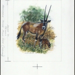 1996, Eritrea, (87) Original