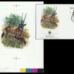 1996, Eritrea, (87) Original