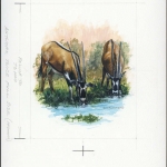 1996, Eritrea, (88) Original
