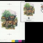 1996, Eritrea, (89) Original