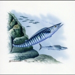 1997, Nauru, (438) Original