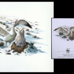 1999, Tristan da Cunha, (655) Original