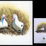 1999, Tristan da Cunha, (656) Original