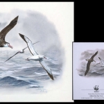 1999, Tristan da Cunha, (657) Original