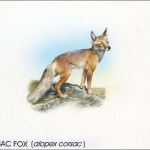 1999, Kirgisien, (168) Original