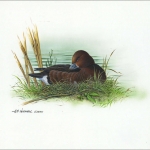 2000, Aserbeidschan, (474) Original