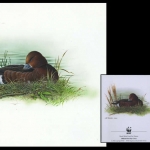 2000, Aserbeidschan, (474) Original
