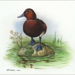 2000, Aserbeidschan, (476) Original