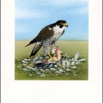 2000, Alderney, (149) Original