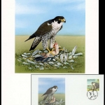 2000, Alderney, (149) Original