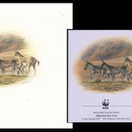 2001, Kasachstan, (346) Original