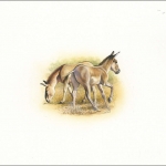 2001, Kasachstan, (348) Original