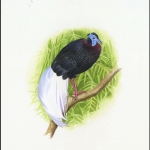 2001, Brunei, (622) Original