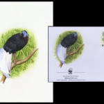 2001, Brunei, (622) Original
