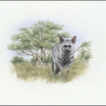 2001, Eritrea, (254) Original