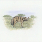 2001, Eritrea, (255) Original