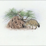 2001, Eritrea, (256) Original