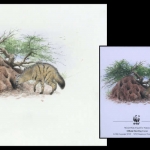 2001, Eritrea, (256) Original