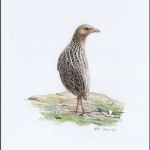 2001, Moldawien, (379) Original